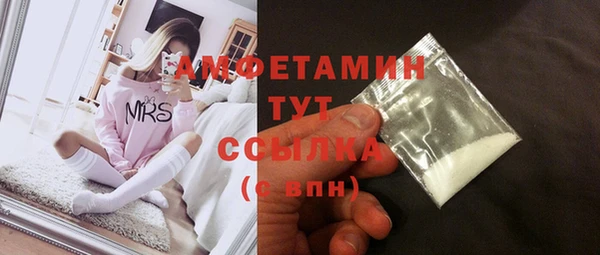 молекула духа Касимов