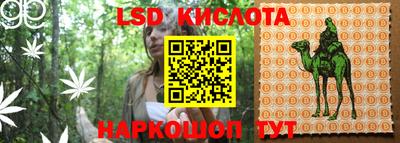 ПСИЛОЦИБИНОВЫЕ ГРИБЫ Новозыбков