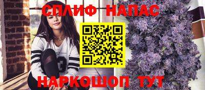 ПСИЛОЦИБИНОВЫЕ ГРИБЫ Новозыбков