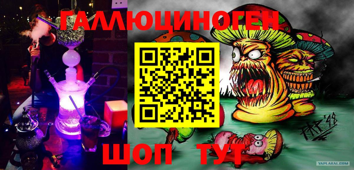 Галлюциногенные грибы MAGIC MUSHROOMS  Вход с VPN  Хасавюрт 