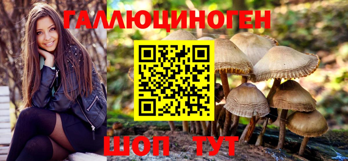 Псилоцибиновые грибы мухоморы Хасавюрт